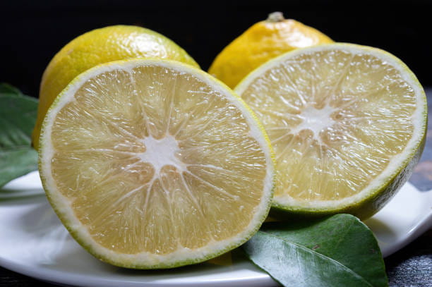 تصویر 2 از قیمت خرید لیموشیرین شیرازی با فروش عمده